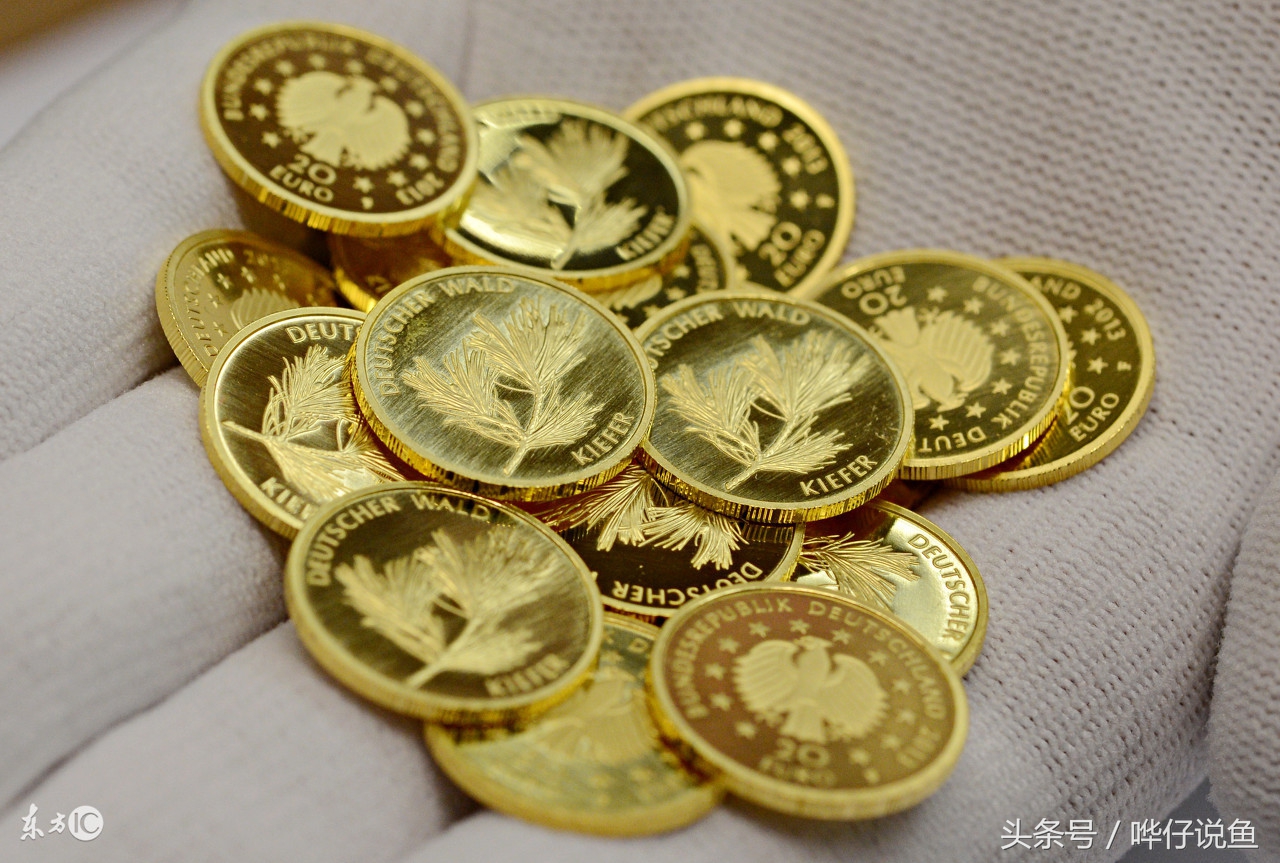 快打住!开水族店的这个念头就此打住,你把这件事想得太简单了!