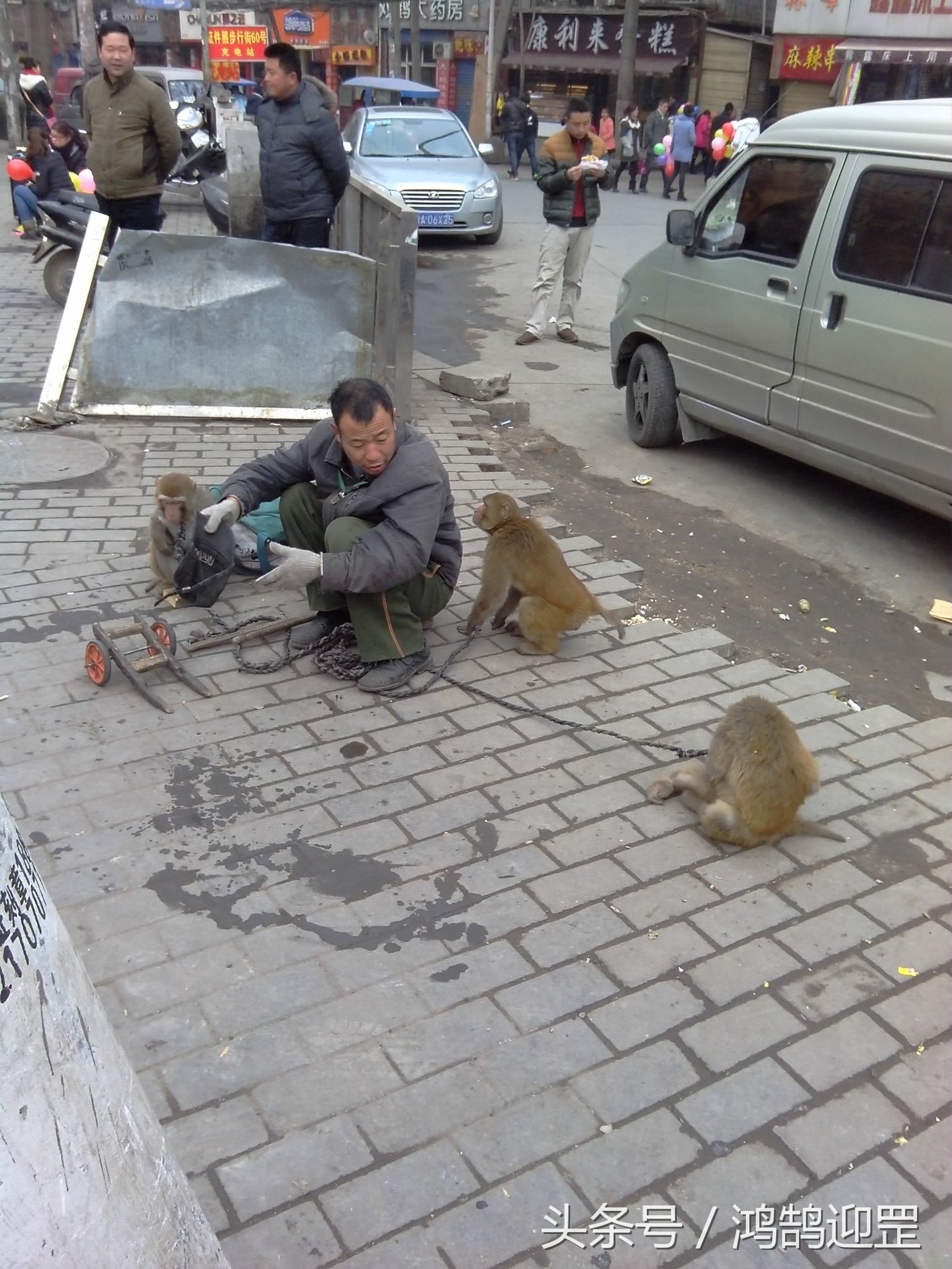 “猴戏”即将退出生活舞台,带走了我们的乐趣和记忆