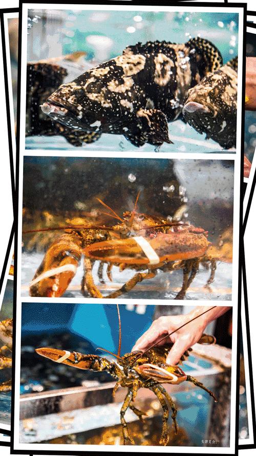 娉夊窞甯傚尯鍝簺姣旇緝濂界殑娴烽矞閰掓ゼ,娉夊窞娴烽矞缇庨鎺掕姒滃墠鍗佸悕