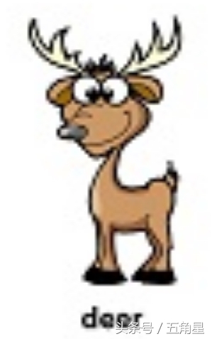 各种动物的英文单词视频,2-8岁儿童学动物英文单词