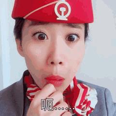 飞猪抢票软件安全吗,飞猪智行携程哪个预约火车票靠谱