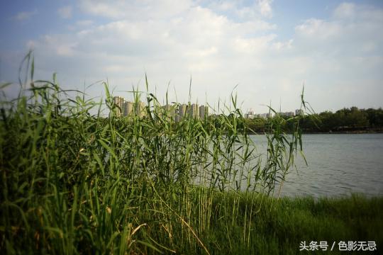 索尼a7ii相机教程视频,索尼a7ii能换长焦镜头吗