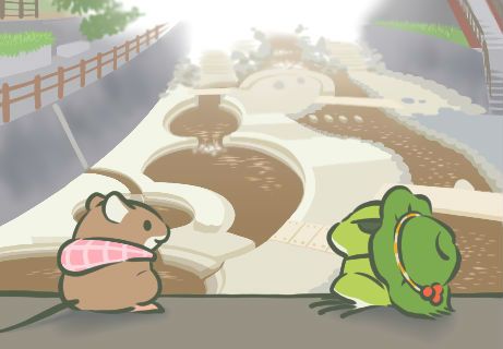 一只佛系青蛙,一只佛系的青蛙