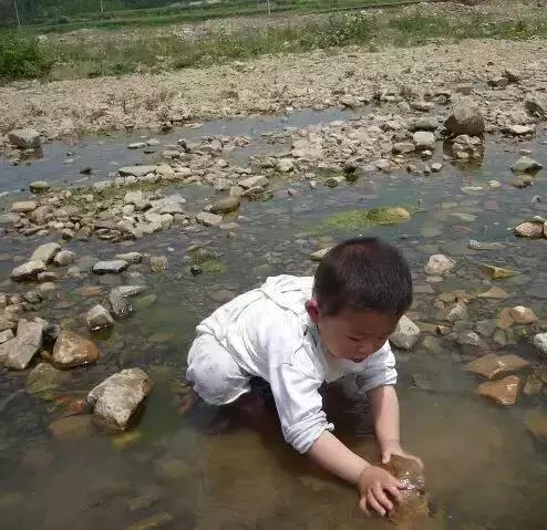 农村乡下水里的这些野货，你小时候有没有捉过？觉得好吃吗？