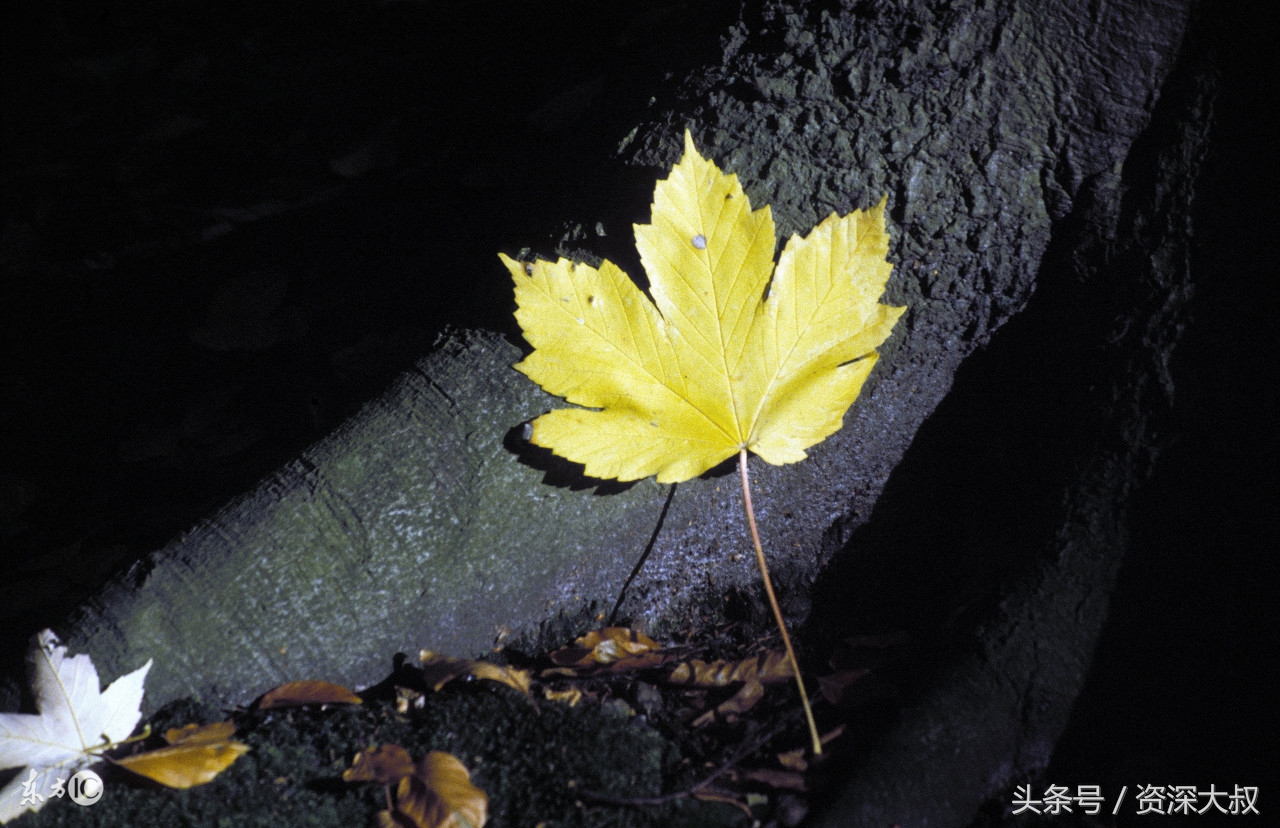 著名足球解说员,足球最经典的解说是哪一次