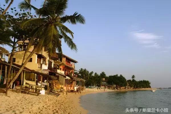 呕心沥血整理的攻略,斯里兰卡旅游必做的9件事情