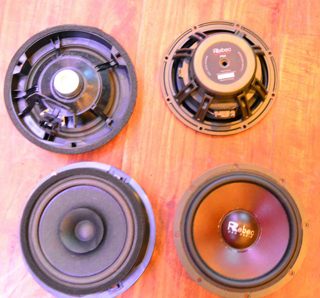 “音”为有我不同凡响雷贝琴带给您最好听的声音