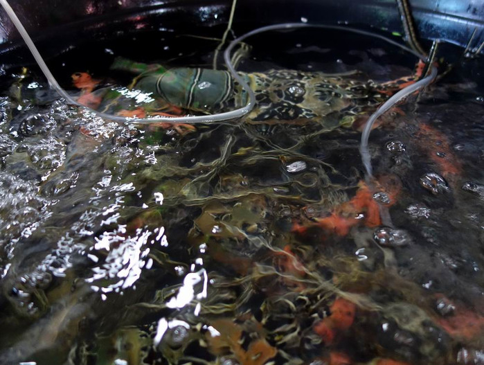 长滩之旅分享篇,长滩旅游行程