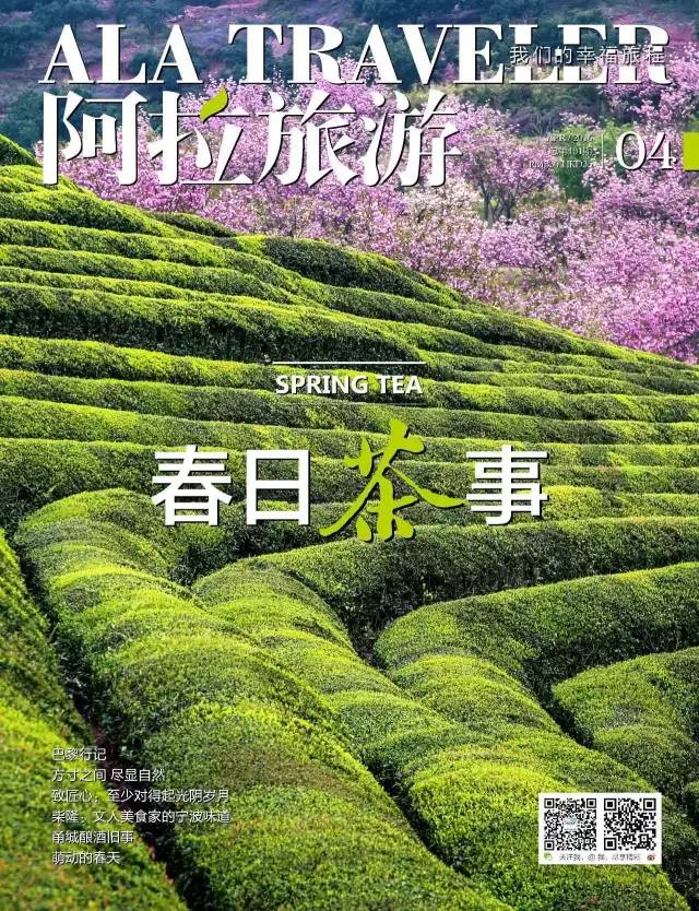 我也想有间这样的茶室，就在城中央，你却找不到|春日事5