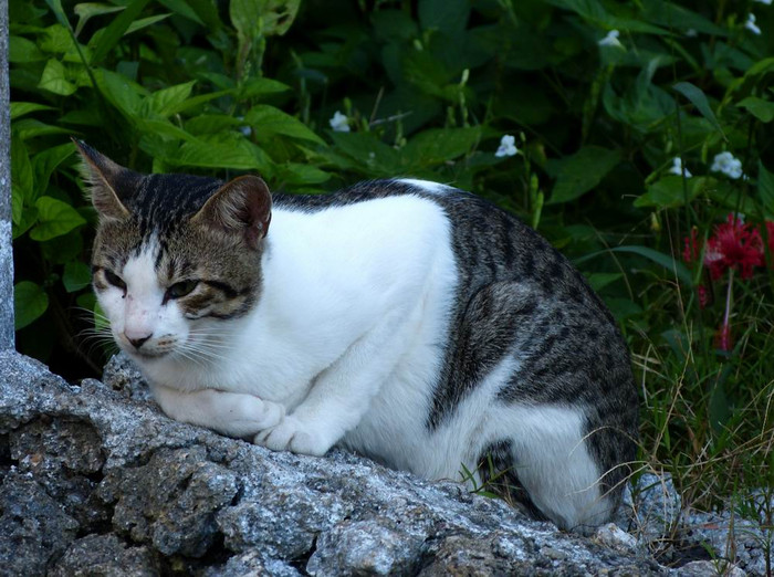 长滩之旅分享篇,长滩旅游行程