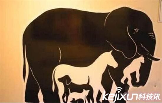 lol女主播被停播,lol女主播直播被封