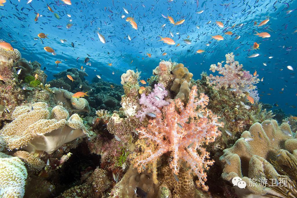 斐济为什么叫旅游天堂,斐济最幸福的国度