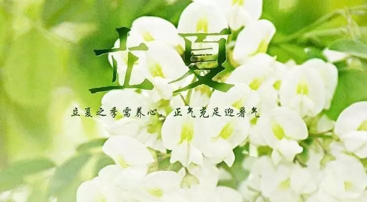 却是石榴知立夏,却是石榴知立夏年年花开什么意思