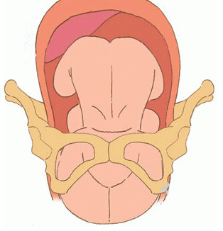 孕妇大肚子在水中分娩过程,中国孕妇在水中分娩过程