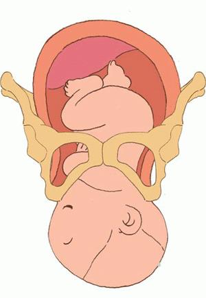 孕妇分娩过程中按肚子,孕妇的分娩过程