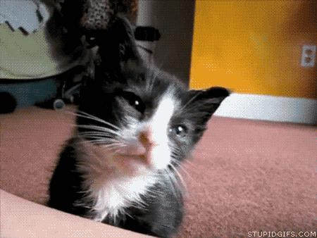 我的颜值,全靠这根唇膏在死撑|彩妆