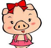 2016年12生肖运势解析,2016年十二生肖的运势会是什么样