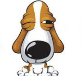 十二生肖运势2016年运势,十二生肖运势2016年运程