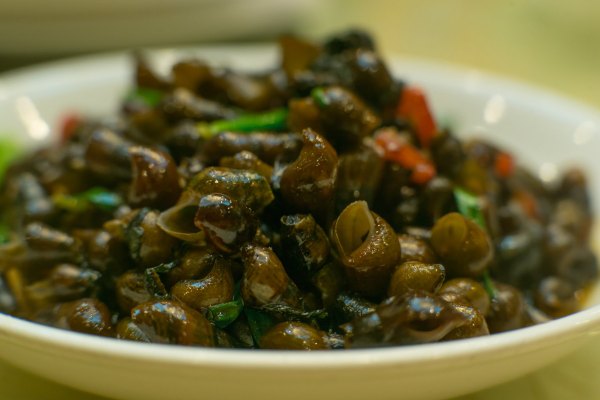 从化温泉之旅,从化文轩苑温泉攻略