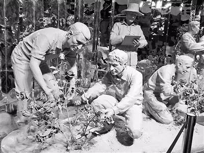 世界首座月季博物馆,月季主题公园月季博物馆