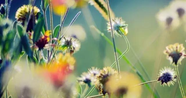 雾里看花女生版全民k歌,全民畅读艺术书店