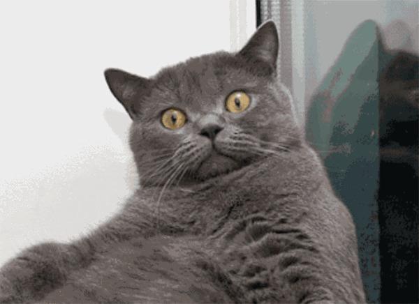 吃樱桃中毒如何自救,吃70颗樱桃会中毒吗