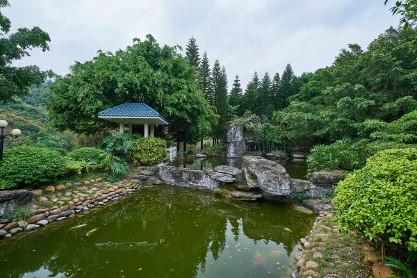 从化温泉之旅,从化文轩苑温泉攻略