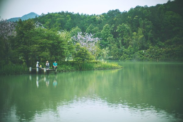 从化温泉之旅,从化文轩苑温泉攻略