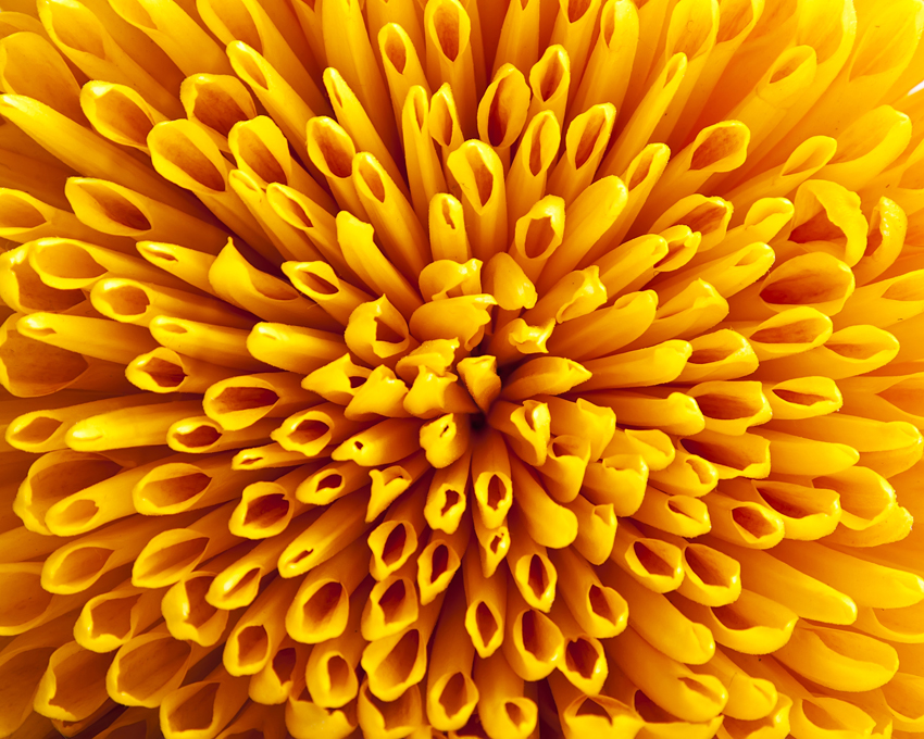 续1:折腾不起的面子问题--皮肤的耐受性