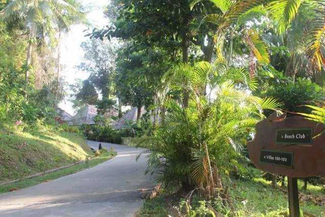 悦榕庄banyantree酒店,新加坡民丹岛酒店攻略