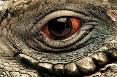 菠萝果汁名字大全,菠萝凤梨猕猴桃奇异果