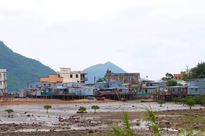 妈妈咪咪嘉年华的欢乐体验和香港郊区的生态怡然之旅