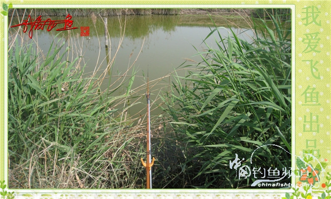 我爱飞鱼初探新钓点