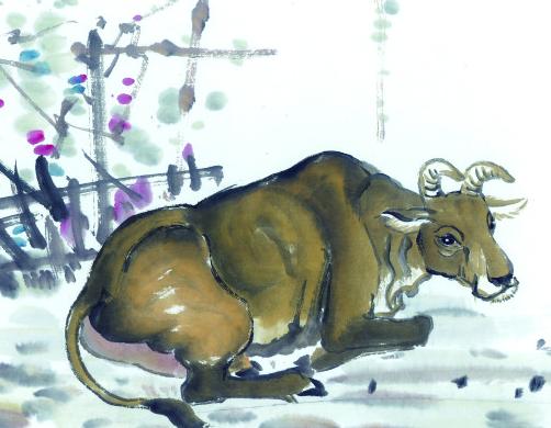 年底运势一路走高的五大生肖,明年开始喜事特别多的四大生肖