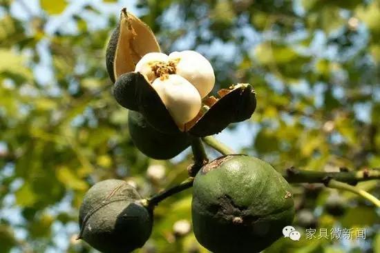 家具涂料种类大全,家具的秘密有哪些