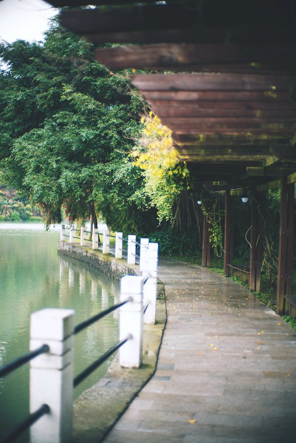 从化温泉之旅,从化文轩苑温泉攻略