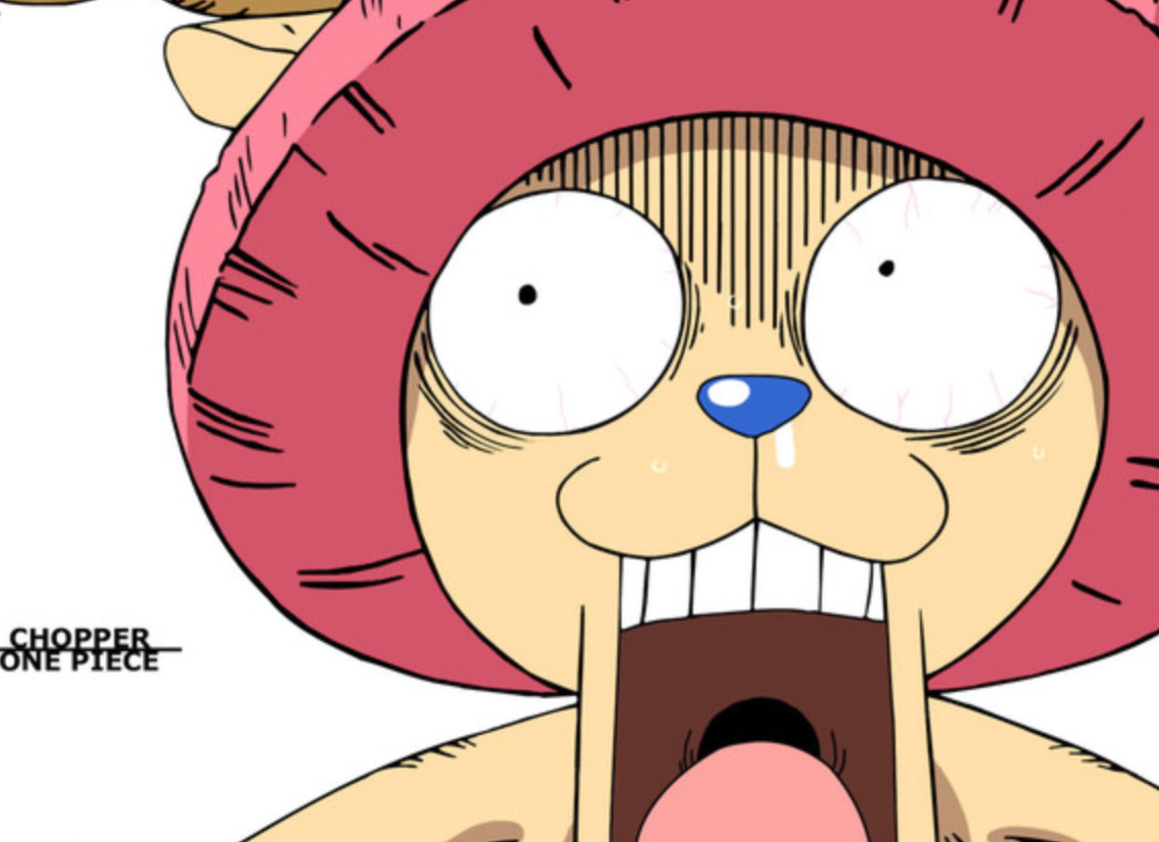 电视售后是不是最坑的,互联网电视有多坑