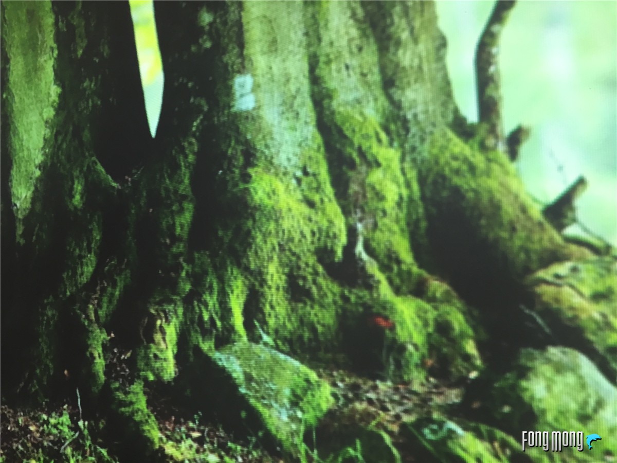 极米z4爵色投影仪是金色的么,极米z4x观影效果怎么样