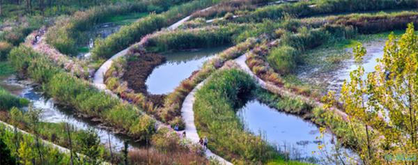 城市双修是什么,城市双修纪实