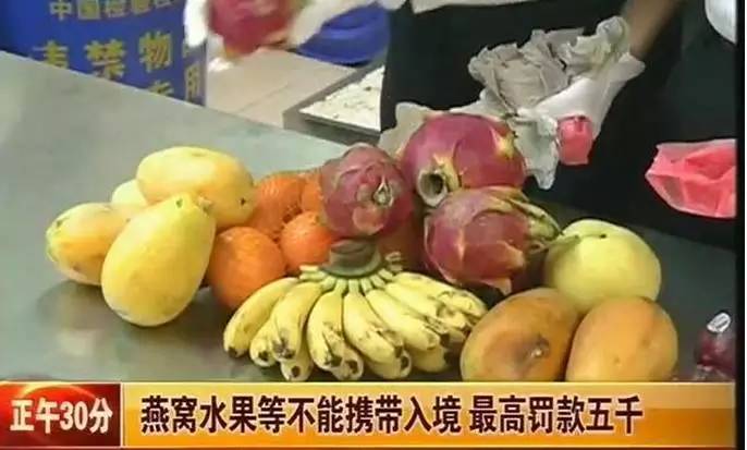 慎点！有人居然往成都寄这种虫，体积是国内的3倍