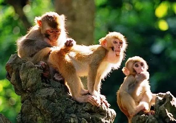 南宁旅游详细攻略,南宁旅游攻略有海吗