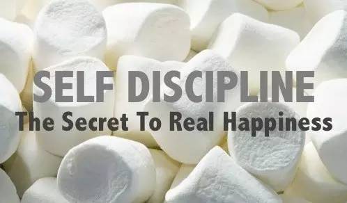 如何培养孩子的自制力ppt,如何培养孩子的自制力作文