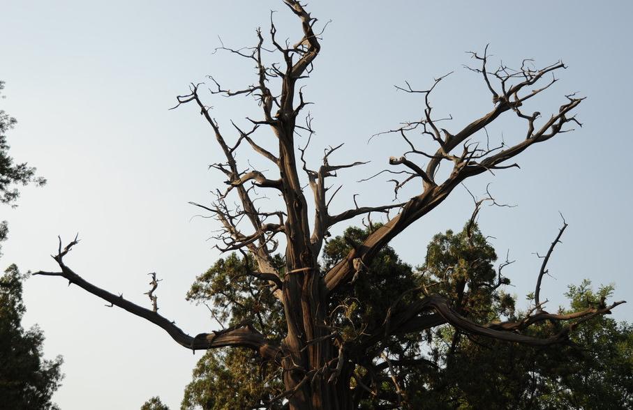 一篇实实在在的针对中小卖家的好文！