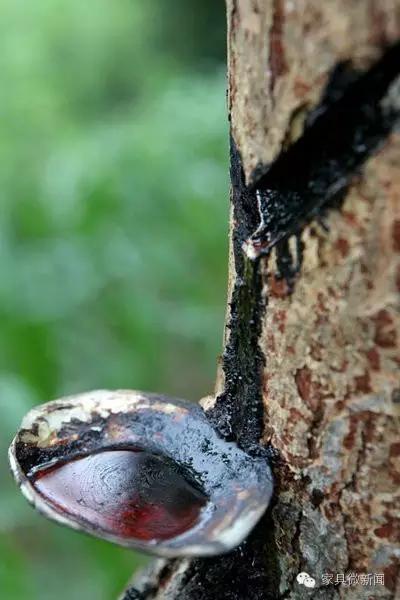 家具涂料种类大全,家具的秘密有哪些