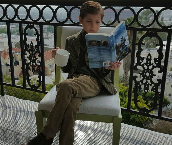 爱丽丝被关进监狱结果逃了出来,爱丽丝被关在城堡里