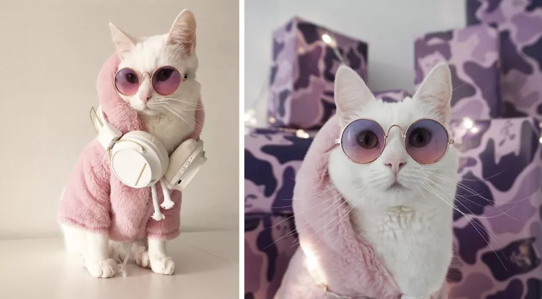 十二生肖驾到，时尚精们给我退下！