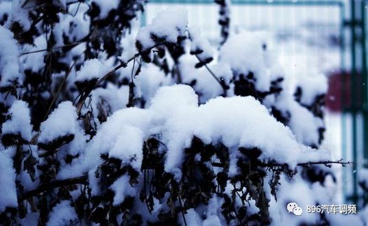 刚刚,雪花又飘!今明两天雨雪持续……这些重要信息须注意