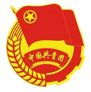 鄂州市团代会,团代会青少年贺词