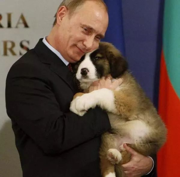 毕竟爱狗|哈哈哈哈哈哈……听说你们要买狗年单品?我就真的不拦了!