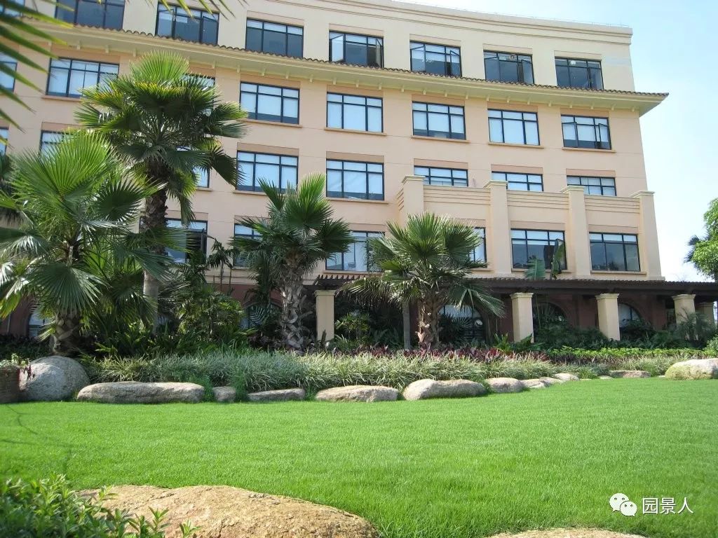 阳光草地美景,福州阳光草坪